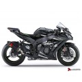 LUIMOTO TANK LEAF Tank Pads for the Kawasaki ZX-10R (11-20) LUIMOTO TANK LEAF Tank Pads for the Kawasaki ZX-10R (11-20)